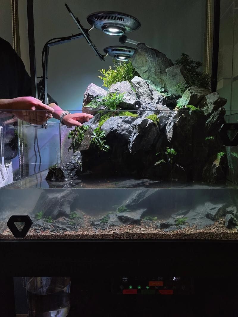 大型龍魚缸造景效果圖片大全 龍魚百科 第15張 大型龍魚缸造景效果圖片大全 大型龍魚缸造景效果圖片大全 龍魚百科 第15張