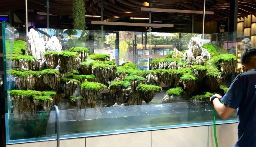大型龍魚缸造景效果圖片大全 龍魚百科 第17張 大型龍魚缸造景效果圖片大全 大型龍魚缸造景效果圖片大全 龍魚百科 第17張