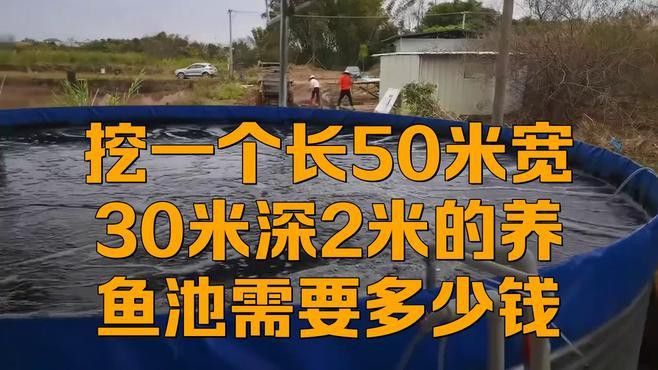 大型龍魚缸造景效果圖片大全 大型龍魚缸造景效果圖片大全 龍魚百科 第23張