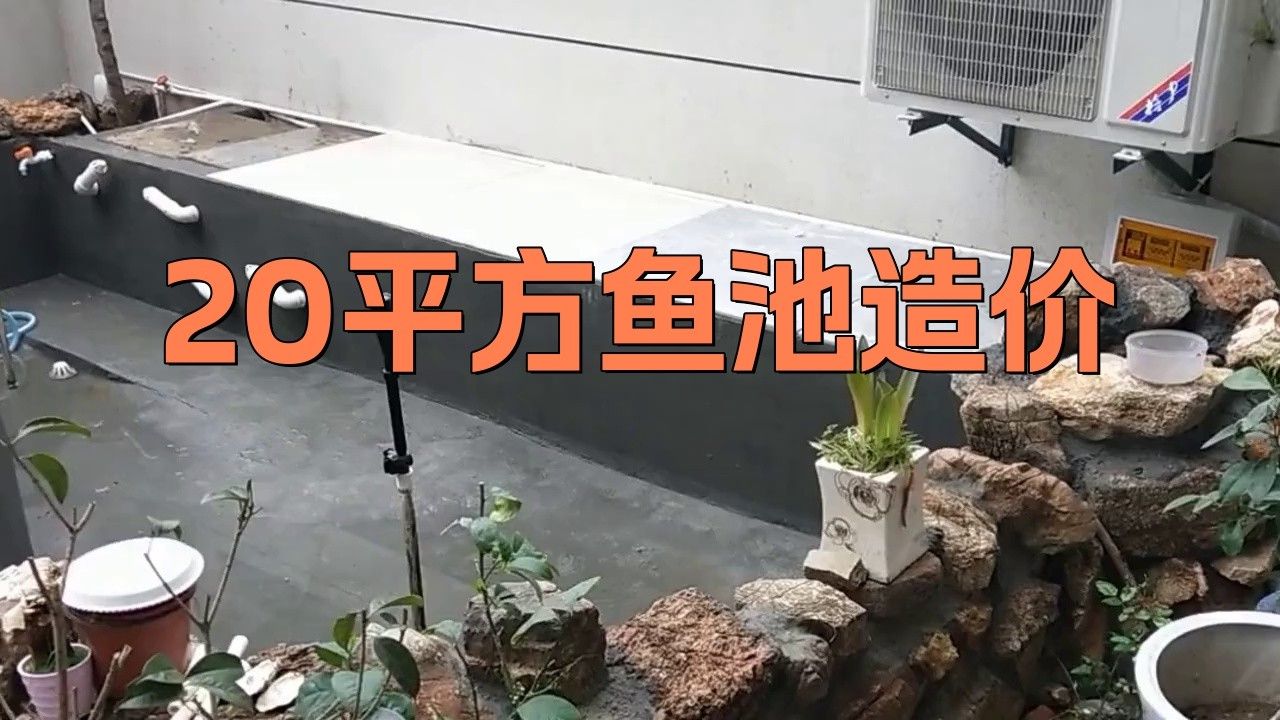 大型龍魚缸造景效果圖片大全 大型龍魚缸造景效果圖片大全 龍魚百科 第24張