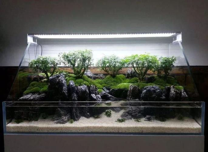 大型龍魚缸造景效果圖片大全 大型龍魚缸造景效果圖片大全 龍魚百科 第22張