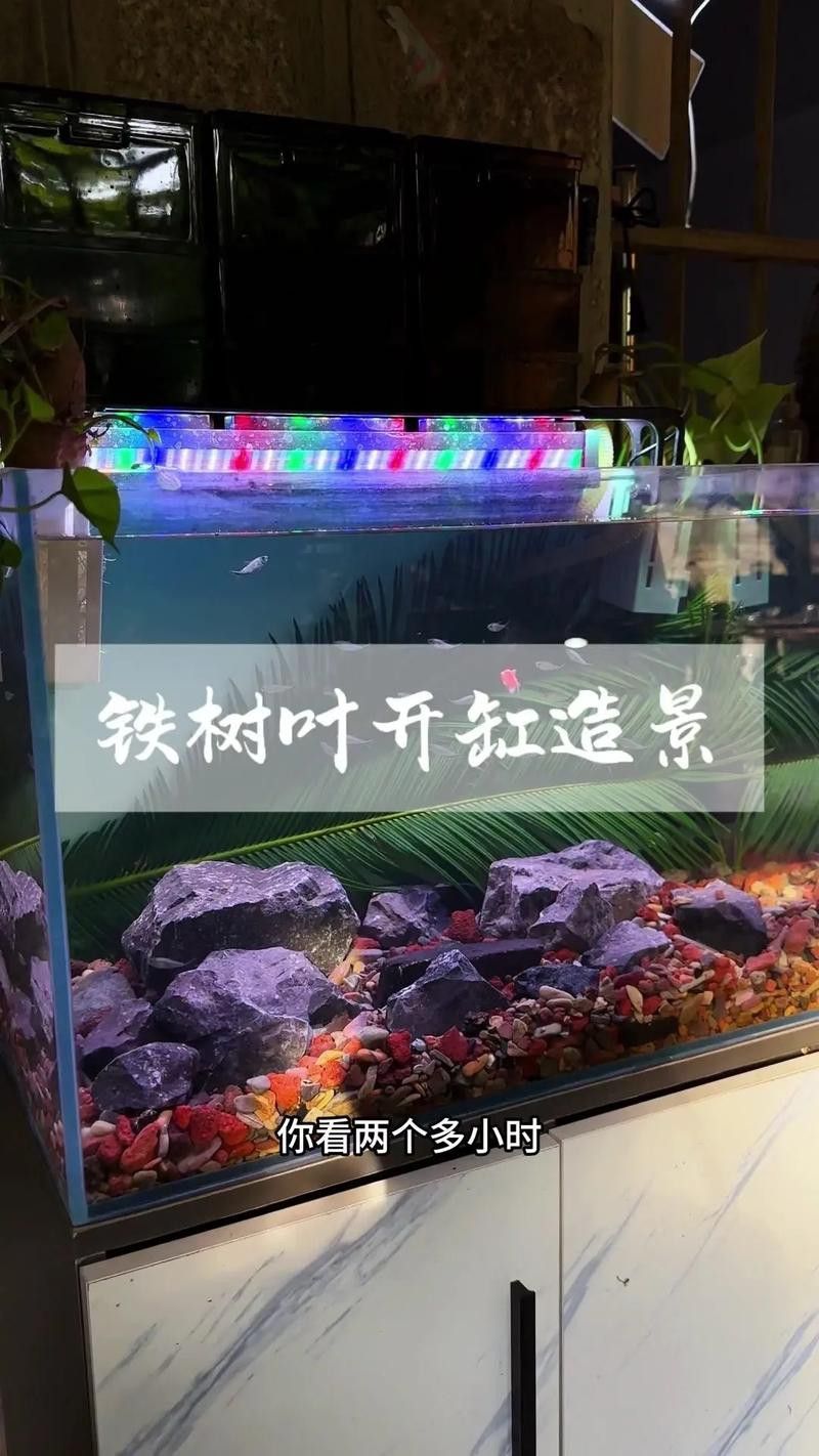 大型龍魚缸造景效果圖片大全 龍魚百科 第33張 大型龍魚缸造景效果圖片大全 大型龍魚缸造景效果圖片大全 龍魚百科 第33張