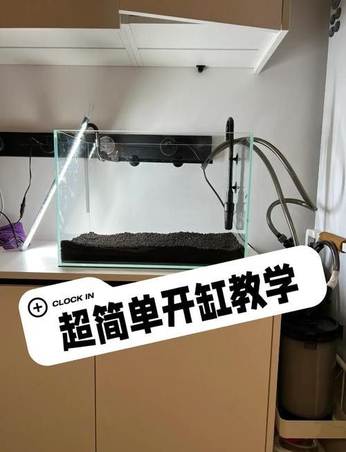 大型龍魚缸造景效果圖片大全 龍魚百科 第38張 大型龍魚缸造景效果圖片大全 大型龍魚缸造景效果圖片大全 龍魚百科 第38張