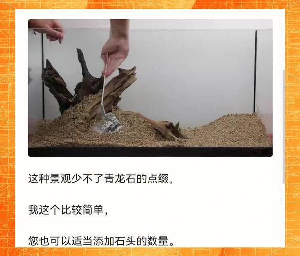 大型龍魚缸造景效果圖片大全 龍魚百科 第42張 大型龍魚缸造景效果圖片大全 大型龍魚缸造景效果圖片大全 龍魚百科 第42張