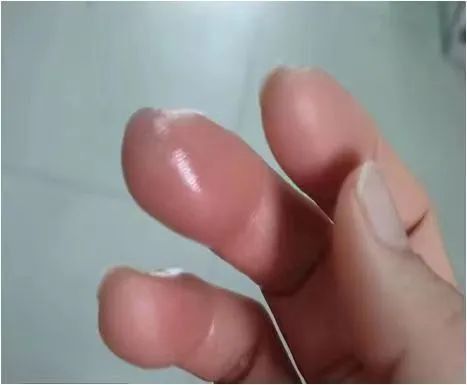 龍魚配魚的最佳數(shù)量是多少？