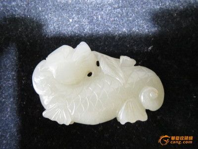 白玉龍魚和紅龍如何分辨：白玉龍魚和紅龍在顏色、形態、品種特點以及市場價值等方面都有所區別