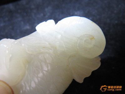 白玉龍魚和紅龍如何分辨：白玉龍魚和紅龍在顏色、形態、品種特點以及市場價值等方面都有所區別