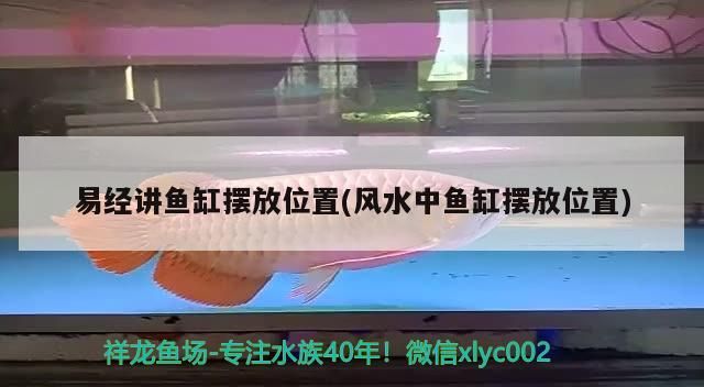 龍魚死了有什么忌諱：龍魚死了有什么預兆是替人擋災嗎