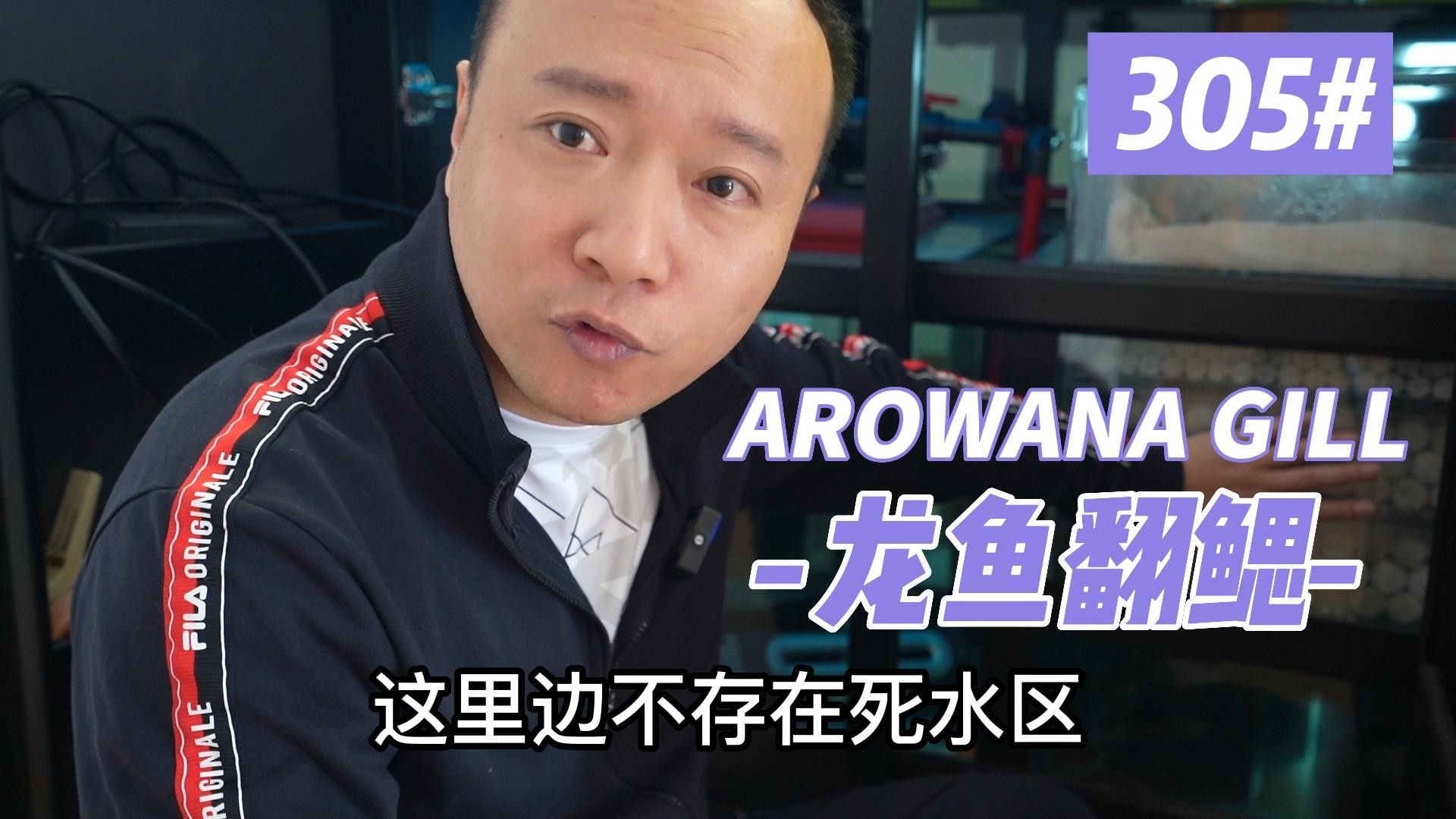 如何早期發現龍魚翻鰓？