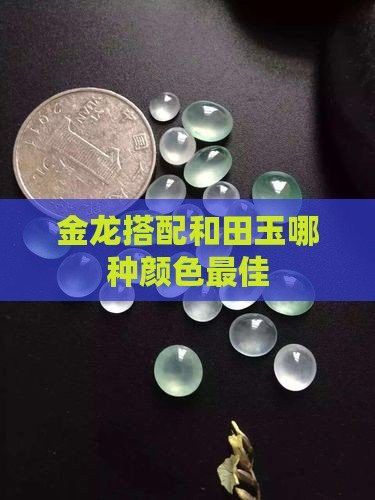 金龍魚(yú)與哪些寶石搭配最佳？ 金龍魚(yú)與哪些寶石搭配最佳？ 龍魚(yú)百科 第1張