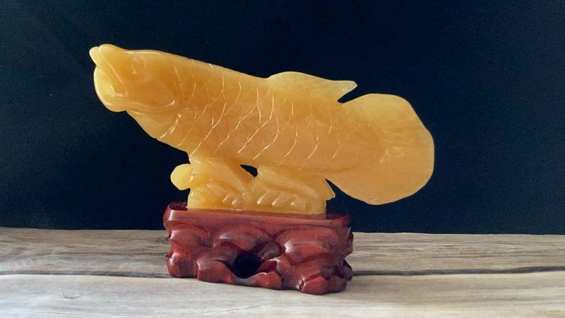 金龍魚(yú)與哪些寶石搭配最佳？ 金龍魚(yú)與哪些寶石搭配最佳？ 龍魚(yú)百科 第5張