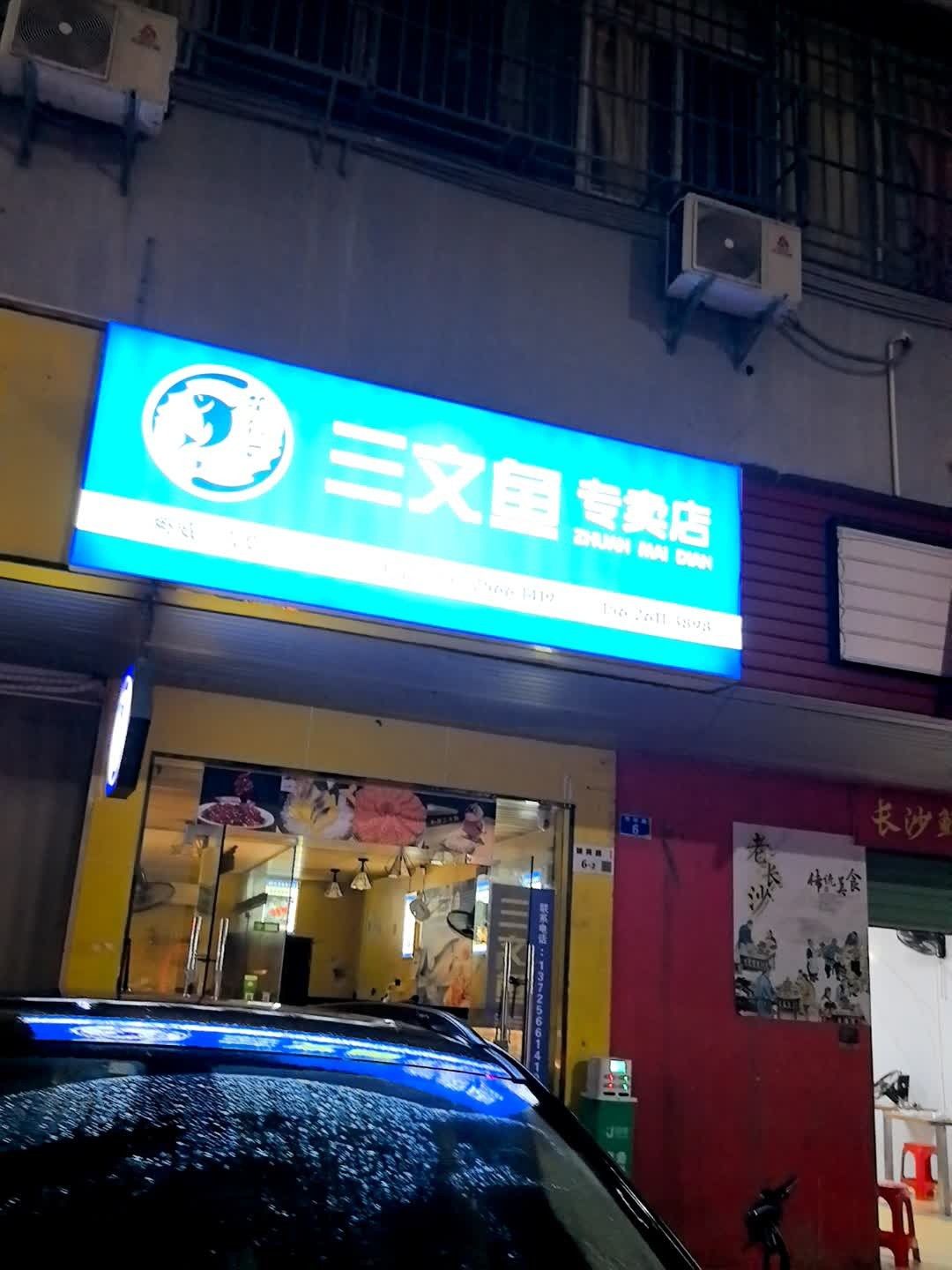 深圳哪里有賣雷龍魚