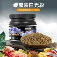 哪里可以買到正宗臺灣蝴蝶鯉 龍魚百科 第7張 哪里可以買到正宗臺灣蝴蝶鯉 哪里可以買到正宗臺灣蝴蝶鯉 龍魚百科 第7張