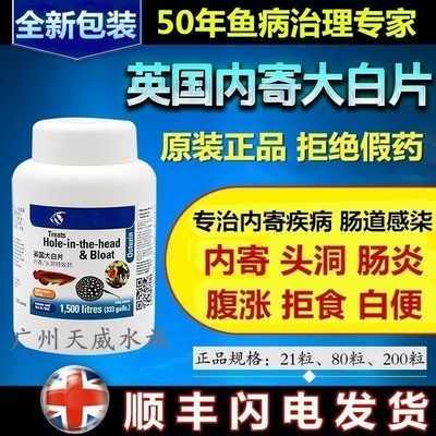 龍魚腸炎可以用大白片治療嗎視頻：關(guān)于龍魚腸炎的問題 龍魚腸炎可以用大白片治療嗎視頻：關(guān)于龍魚腸炎的問題 龍魚百科 第2張