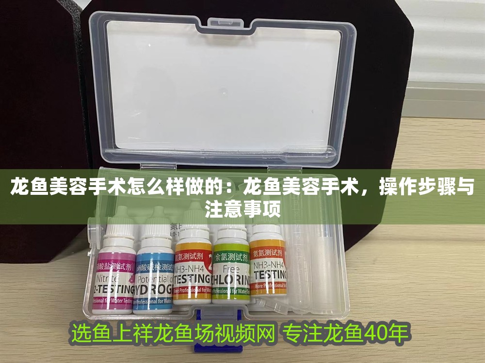 龍魚美容手術怎么樣做的：龍魚美容手術，操作步驟與注意事項
