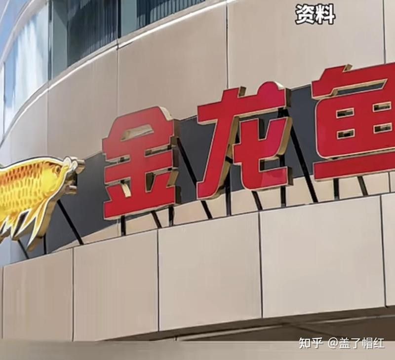 如何鑒別金龍魚的品相真假：金龍魚品相鑒別指南 如何鑒別金龍魚的品相真假：金龍魚品相鑒別指南 水族問答 第15張