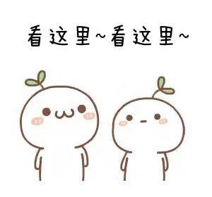 如何降低血紅龍的死亡率？ 如何降低血紅龍的死亡率？ 龍魚百科 第12張