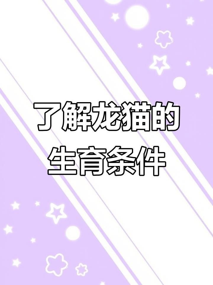 龍貓的最佳繁殖年齡是多少？ 龍貓的最佳繁殖年齡是多少？ 龍魚百科 第1張