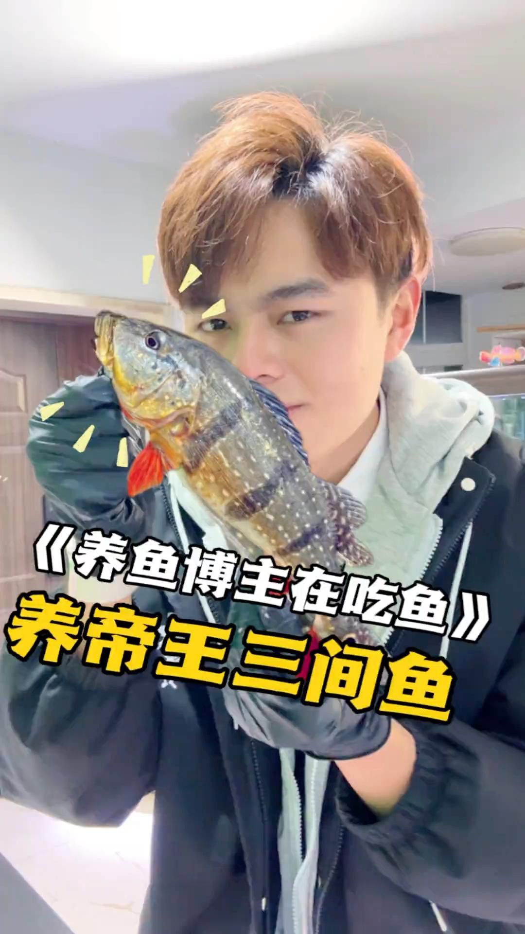 如何訓練帝王三間魚和龍魚？