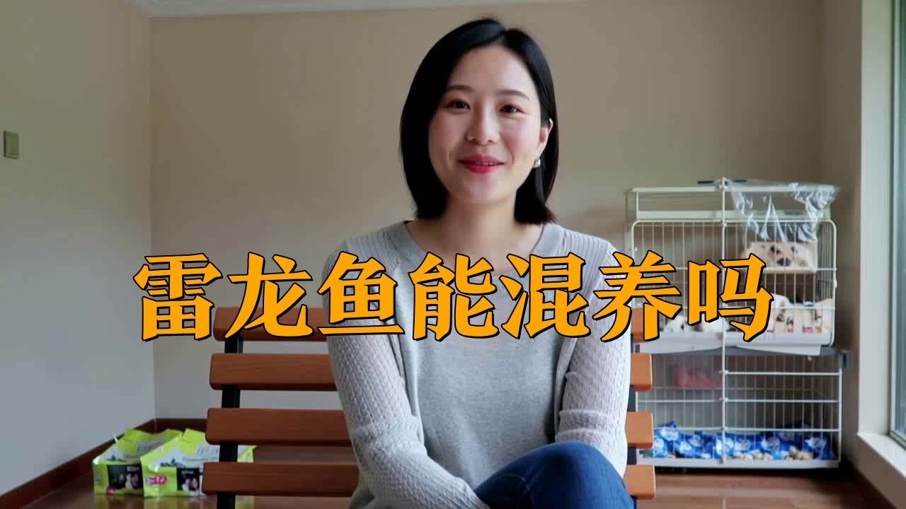 與雷龍魚混養(yǎng)什么魚好