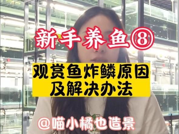 如何區(qū)分不同類型的炸鱗？