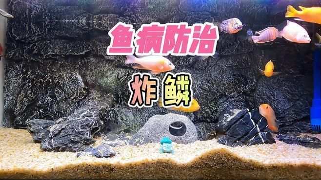 如何區(qū)分不同類型的炸鱗？