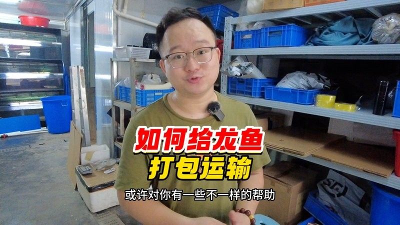 龍魚寄養要多少錢一條合適