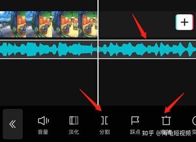 淡化海龜和龍魚混養(yǎng)：淡化海龜和龍魚混養(yǎng)可行嗎？