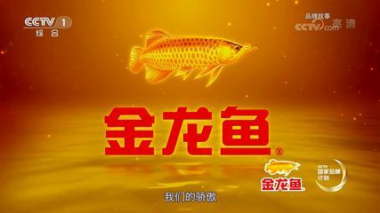 金龍魚的品牌故事介紹怎么寫的：金龍魚品牌故事 金龍魚的品牌故事介紹怎么寫的：金龍魚品牌故事 龍魚百科 第5張