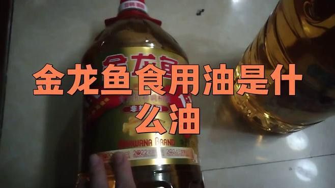 金龍魚(yú)玉米油哪個(gè)系列適合煎炸？