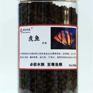 龍魚如何麻醉自己的卵：龍魚如何麻醉自己，自然行為與人工干預的科學解析