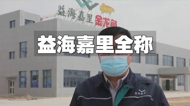 龍魚缸一般要多高多寬的：關于龍魚缸的理想尺寸的詳細信息 龍魚缸一般要多高多寬的：關于龍魚缸的理想尺寸的詳細信息 龍魚百科 第3張