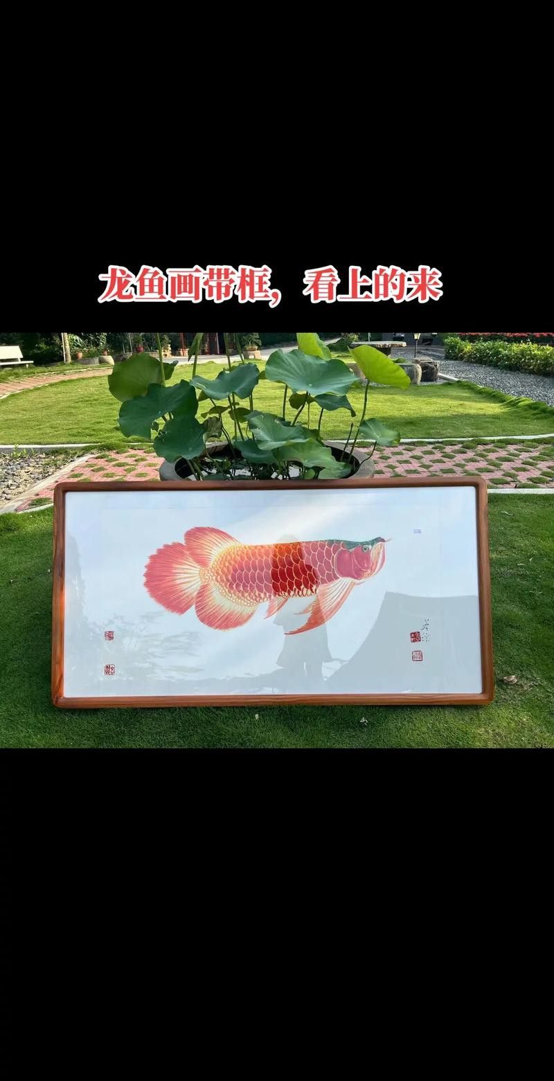 有沒有紅龍魚手繪壁紙的教程？