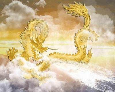 屬龍的人適合養什么魚？：屬龍的人養魚可以旺財嗎？