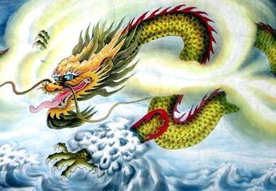 屬龍的人適合養什么魚？：屬龍的人養魚可以旺財嗎？