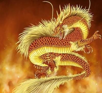 屬龍的人適合養什么魚？：屬龍的人養魚可以旺財嗎？