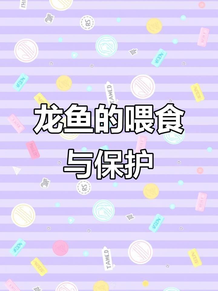 龍魚咬合力有多大