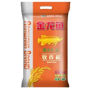 金龍魚最高價格：金龍魚價格多少錢一條 金龍魚最高價格：金龍魚價格多少錢一條 龍魚百科 第1張