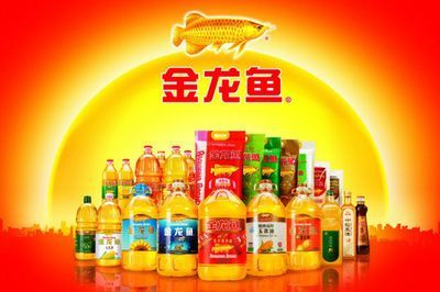 金龍魚最高價格：金龍魚價格多少錢一條 金龍魚最高價格：金龍魚價格多少錢一條 龍魚百科 第2張
