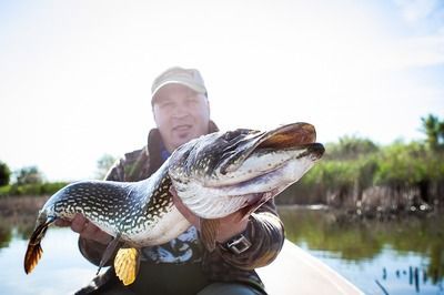 北京紅龍魚魚場在哪里啊:北京紅龍魚魚場具體位置 龍魚百科 第4張 北京紅龍魚魚場在哪里啊:北京紅龍魚魚場具體位置 北京紅龍魚魚場在哪里啊:北京紅龍魚魚場具體位置 龍魚百科 第4張