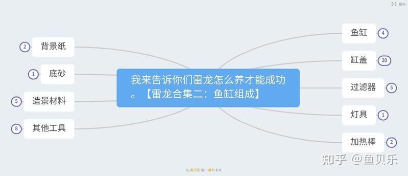 雷龍和招財貓混養需要多大的魚缸