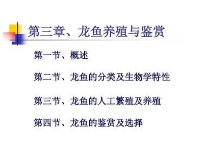龍魚ppt(《龍魚養(yǎng)殖與鑒賞》) 龍魚百科 第5張 龍魚ppt(《龍魚養(yǎng)殖與鑒賞》) 龍魚ppt(《龍魚養(yǎng)殖與鑒賞》) 龍魚百科 第5張