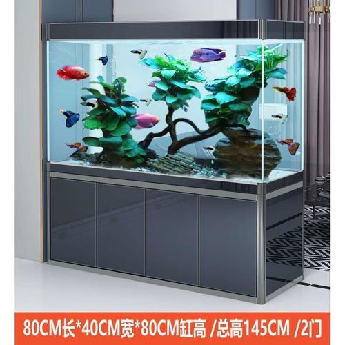 印尼紅龍魚多少錢一條合適的缸