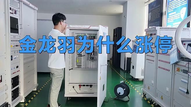 金龍羽5年后能漲到200元嗎