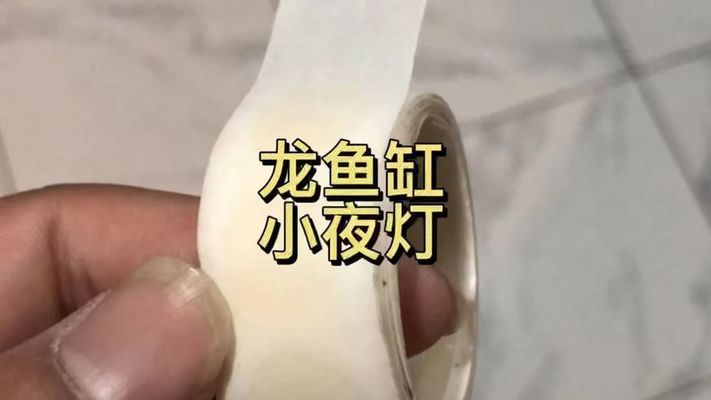 龍魚(yú)缸小夜燈的作用（龍魚(yú)缸小夜燈的主要作用）
