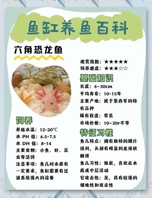 六角龍魚圖片大全大圖