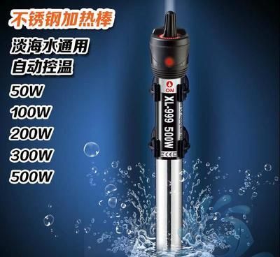 龍魚加熱棒調到多少度（如何選擇合適功率加熱棒,龍魚冬季養護技巧,龍魚夏季溫度調控方法） 龍魚加熱棒調到多少度（如何選擇合適功率加熱棒,龍魚冬季養護技巧,龍魚夏季溫度調控方法） 龍魚百科 第4張