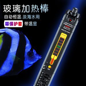 龍魚加熱棒調到多少度（如何選擇合適功率加熱棒,龍魚冬季養護技巧,龍魚夏季溫度調控方法） 龍魚加熱棒調到多少度（如何選擇合適功率加熱棒,龍魚冬季養護技巧,龍魚夏季溫度調控方法） 龍魚百科 第5張