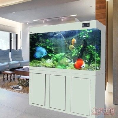 魚缸設計圖片（尋找魚缸裝飾？魚缸設計圖片設計）
