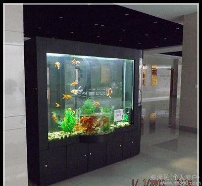 魚缸設(shè)計(jì)圖片（尋找魚缸裝飾？魚缸設(shè)計(jì)圖片設(shè)計(jì)）
